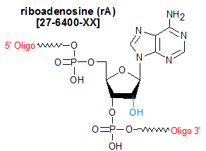 picture of riboadenosine rA
